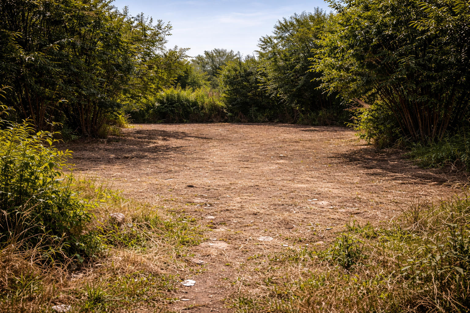 terrain propre après débarras à Montpellier